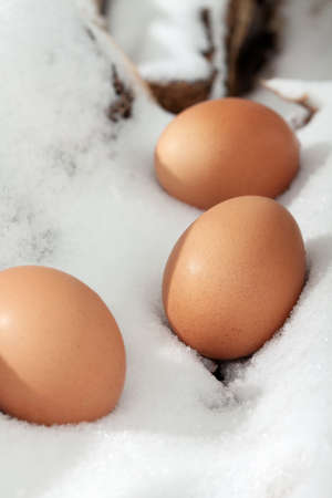 Chicken eggs in the snow. A modern composition about village life.の写真素材