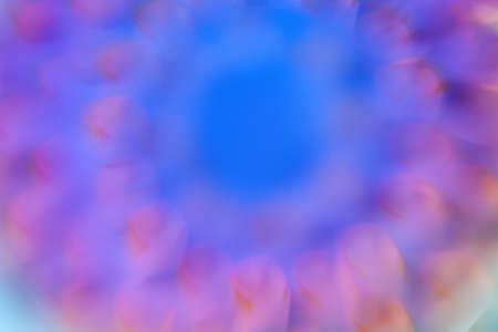 surreal multicolored summer background with citrus fruitsの写真素材