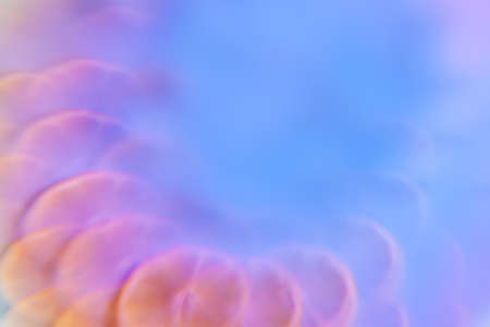 surreal multicolored summer background with citrus fruitsの写真素材