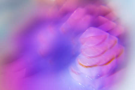 surreal multicolored summer background with citrus fruitsの写真素材