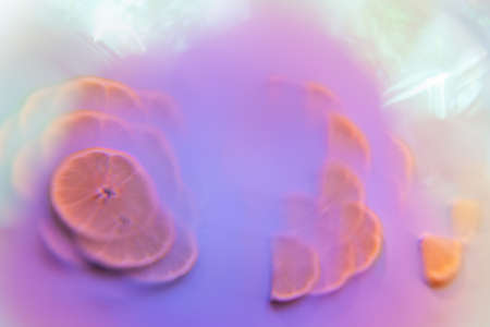 surreal multicolored summer background with citrus fruitsの写真素材