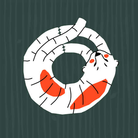 Modern greeting card with Chinese new year 2022 symbol. The white tiger is curled up in a ball.のイラスト素材