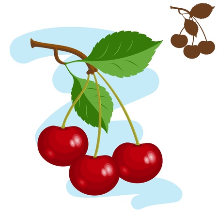 Three cherries illustration - three cherries on a branch with leaves.  のイラスト素材