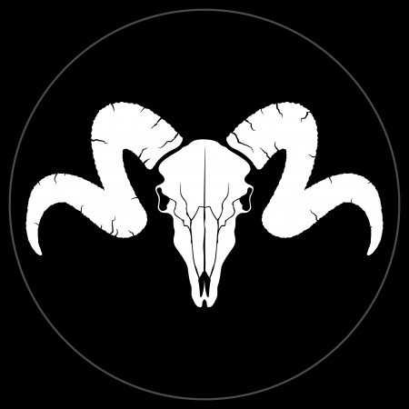 Horned skull  White skull on a black background  Skull of a sheep illustration    のイラスト素材