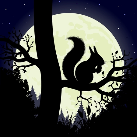 Squirrel on a tree  Silhouette of the squirrel on the background of the moon  Vector illustration のイラスト素材
