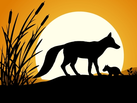 Silhouette of the fox. Silhouette of foxes against the sunset. Vector illustration.のイラスト素材