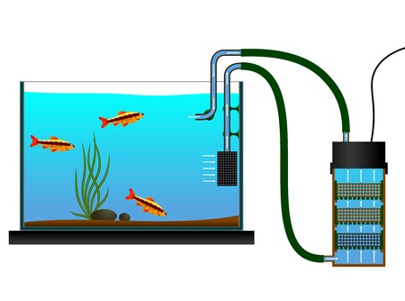 Aquarium equipment. External Aquarium Fish Tank Canister Filter. Vector illustration. The scheme of the external aquarium bio filter.のイラスト素材