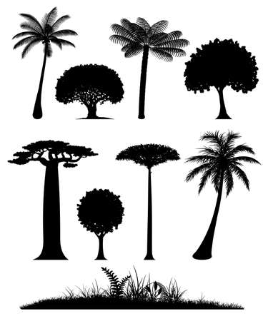 Set of trees silhouettes. Set of black silhouettes various of trees on a white background. Vector illustration.のイラスト素材