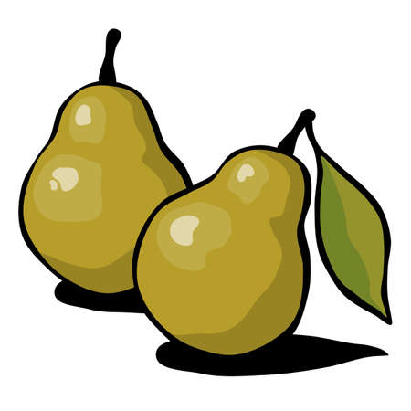 Drawn ripe pear fruits with a leaf on a white background. Vector illustration.のイラスト素材