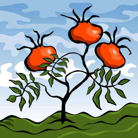 Stylized rosehip plant with leaves and orange fruits. Landscape with a fruiting tree. Vector illustration.のイラスト素材