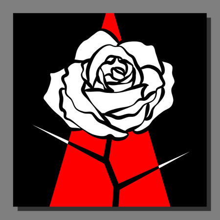 Stylized white rose on an abstract red black background. Vector illustration.のイラスト素材