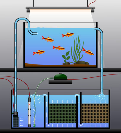 Schematic diagram of an aquarium with external sump filtration. Vector illustration of an aquarium filter.のイラスト素材