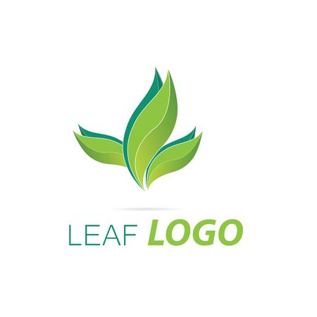 Green Leaf  Green Health  Template Fresh Plants Leaf Greenのイラスト素材
