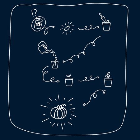 Set, hand-drawn illustration, plant growing. The planting process and the care process are shown. Instructions for the beginning gardener. Home schooling. Stay indoors. Vector illustrationのイラスト素材