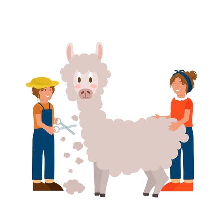Postcard farm animals breeding by humans. Llama for wool working people cut and take care of. A farmer raises cattle. Colorful cartoon vector illustration. Vector illustrationのイラスト素材