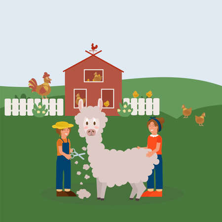 Farm animals with landscape and people. Farm man in cartoon style with chickens and Llama. Working farmers tend and shear livestock. Vector illustrationのイラスト素材