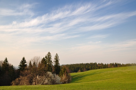 Beautiful green field in rural landscape with spring colors