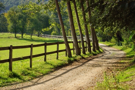 Fence and Trees by Curved Road in Countryside with Green Field の写真素材
