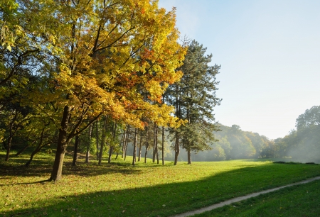 Colorful Autumn Trees in Park  with Walking Path on Green Grassの写真素材