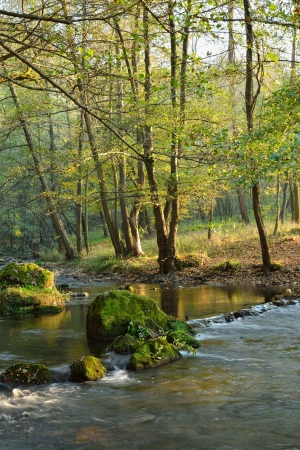 Autumn Landscape  with Mountain River in Colorful Forestの写真素材