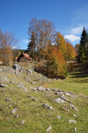 Country Scenery with Autumn Colorful Leaves on Treesの写真素材