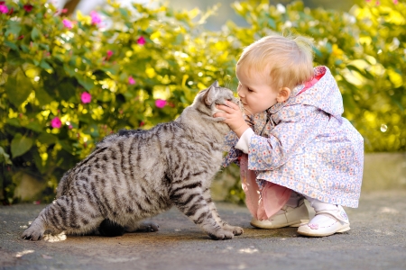 portrait of a little girl with a cat portrait of a little girl with a cat