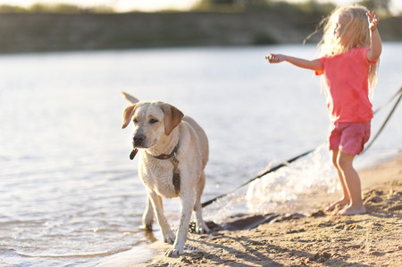 portrait of little girl outdoors in summerの写真素材