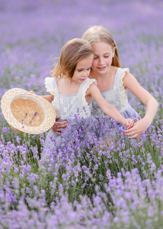 portrait of two sisters in a lavender fieldの写真素材