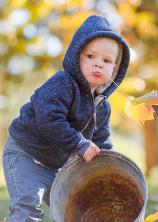 portrait of a little boy in natureの写真素材