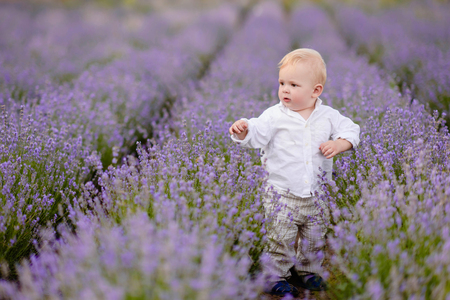 portrait of a Little boy playing in summer natureの写真素材