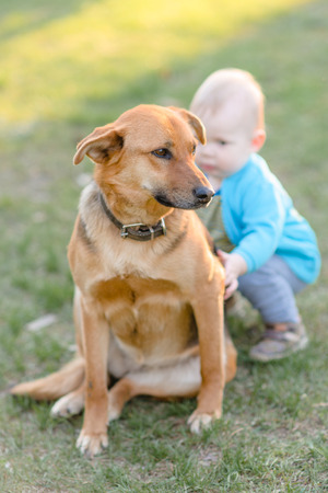 portrait of a Little boy playing in summer natureの写真素材