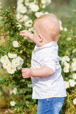 portrait of a Little boy playing in summer natureの写真素材