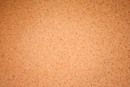 texture of eggshellの写真素材