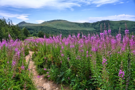 Bieszczady Mountainsの写真素材