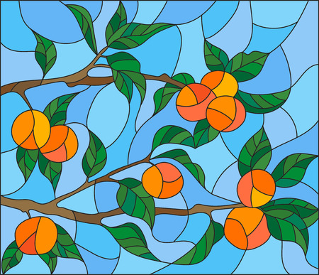 Illustration in the style of a stained glass window with the branches of orange tree , the fruit branches and leaves against the skyのイラスト素材