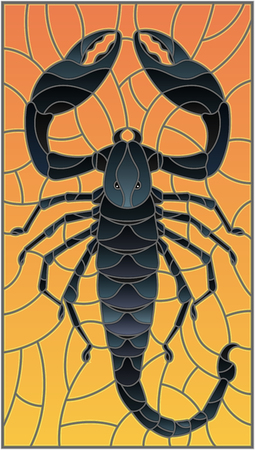 Illustration in stained glass style with abstract black Scorpion on orange backgroundのイラスト素材