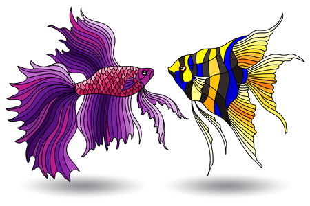 Set of stained glass elements with aquarium fish , fish isolated on white backgroundのイラスト素材