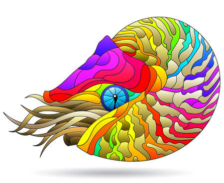 A stained glass-style illustration with a bright rainbow nautilus clam, an animal, isolated on a white backgroundのイラスト素材