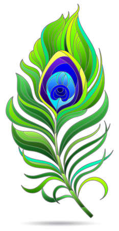 An illustration in the style of a stained glass window with a bright peacock feather, the feather is isolated on a white backgroundのイラスト素材