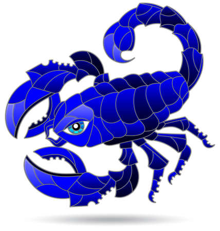 An illustration in the style of a stained glass window with a bright abstract scorpion, an animal isolated on a white backgroundのイラスト素材