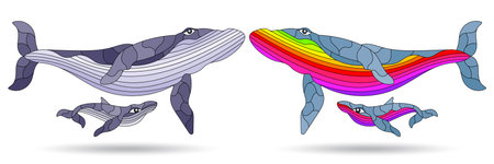 A set of stained glass illustrations with abstract whales, animals isolated on a white backgroundのイラスト素材