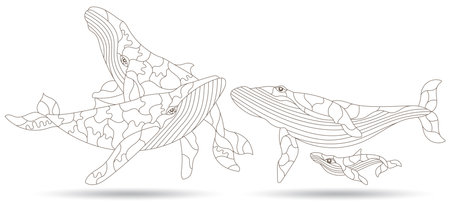 A set of contour illustrations in the style of stained glass with abstract whales, dark contours on a white backgroundのイラスト素材