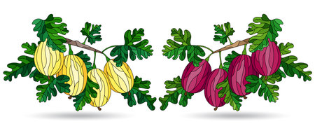 A set of illustrations in the style of stained glass with gooseberry branches, isolated on a white backgroundのイラスト素材