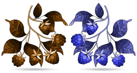 A set of illustrations in the style of stained glass with raspberry branches isolated on a white background,tone blue and brownのイラスト素材