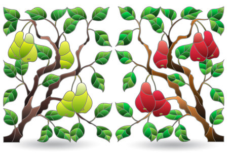 Set of illustrations of stained glass Windows with pear leaves and fruit branches, isolated on a white backgroundのイラスト素材