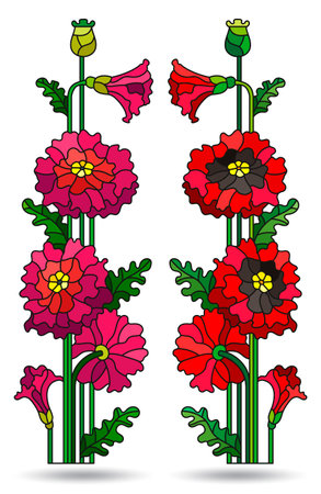 A set of stained glass illustrations with poppy flowers, flowers isolated on a white backgroundのイラスト素材
