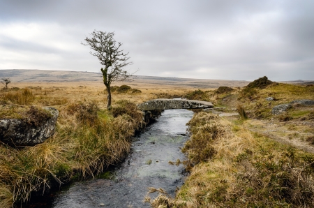 A clam bridge  single clapper bridge  over Walla Brook at Scorhill on Dartmoor National Park