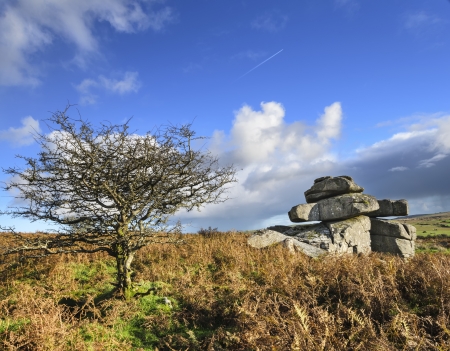 Carbilly Tor high up on Bodmin Moor in Cornwallの写真素材