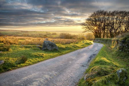 A country lane leading through Bodmin Moor in Cornwallの写真素材