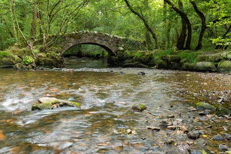 An ancient stone packhorse bridge crossing the River Bovey in Hisley Woods in east Dartmoorの写真素材